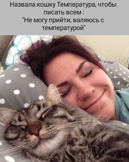 ����� �� ���� ����������� 7.03.2026�