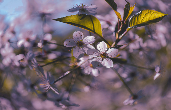 �������������� � ���� �� �����.