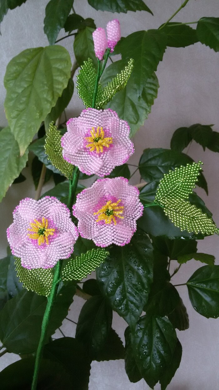 �������� ��������� ���������!