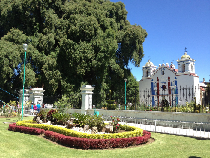 ���� �� ���� ������� ���������.