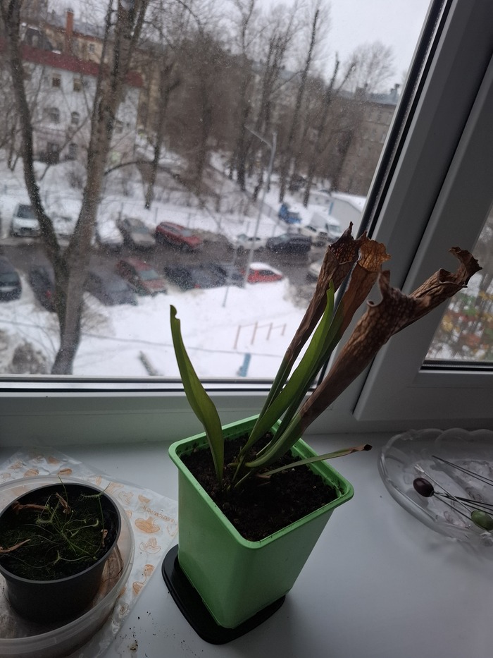 N1 � N2 �������