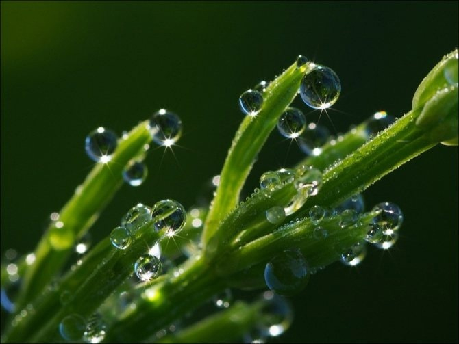 ����� �� �����.