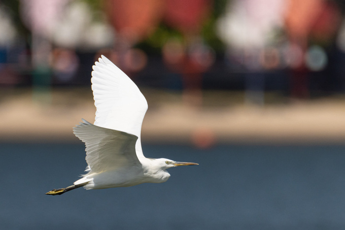 ��������� ����� �����