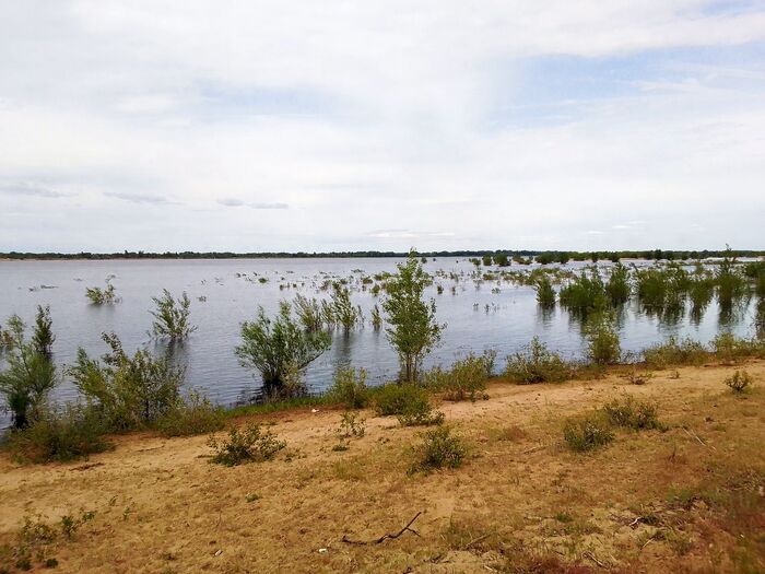 ������ ����������. ����������� �����