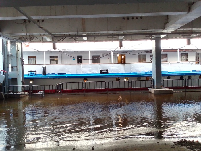 ���������. ������ �����, �������� �������� ���������