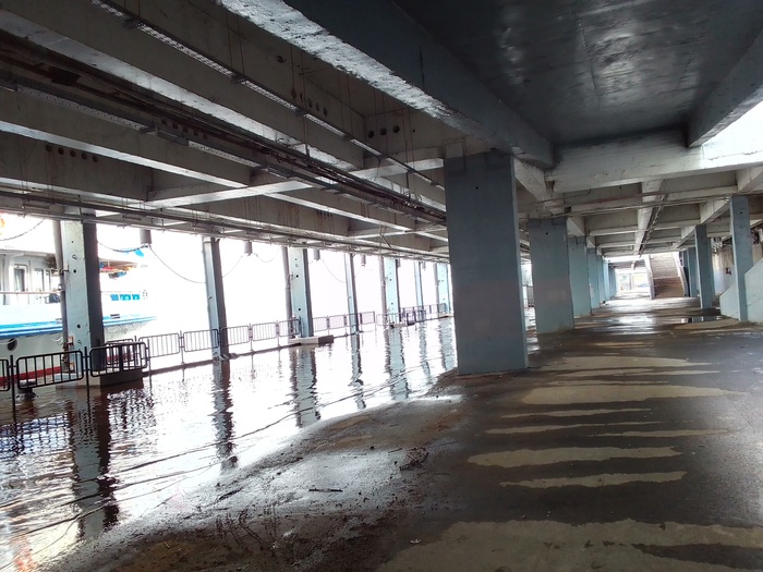 ���������. ������ �����, �������� �������� ���������