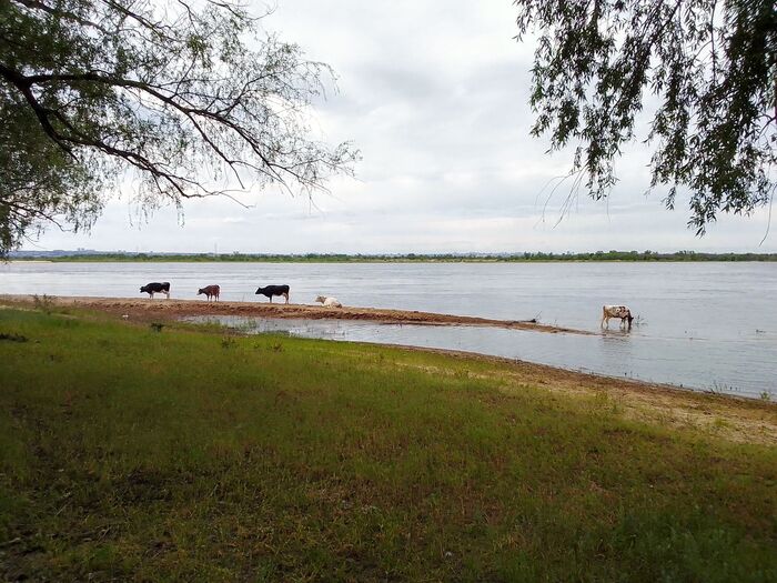 ������ ����������. ������ ������ �� �������