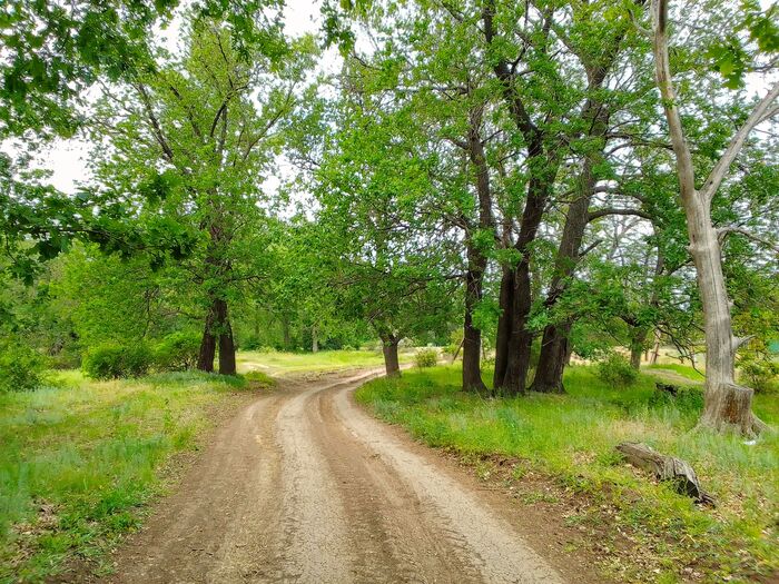 ������ ����������. ������