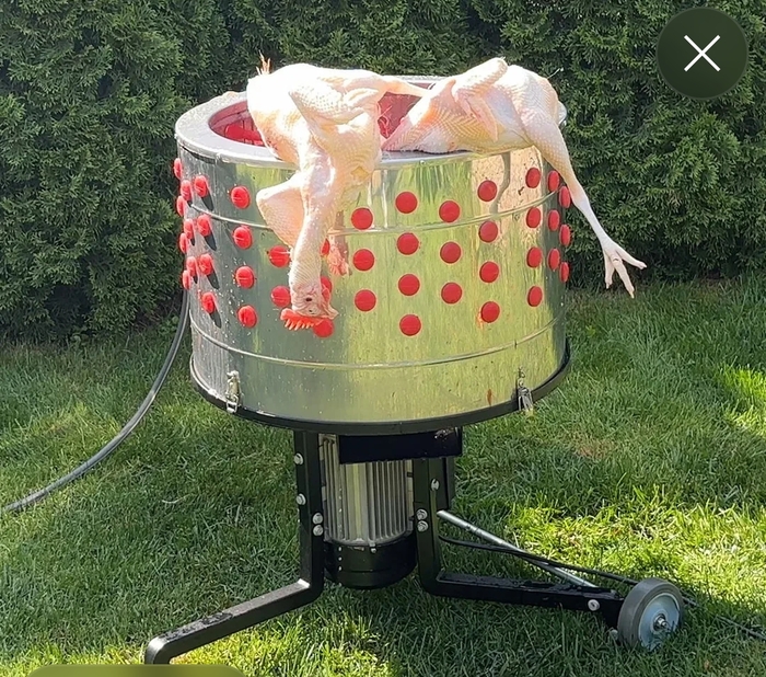 ��������� ��� ����� � ����, ����� �� ����������. 