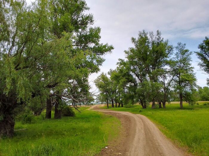 ������ ����������. ������