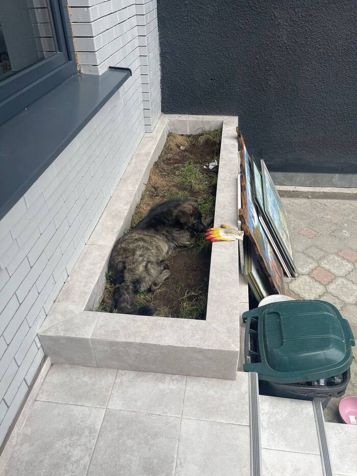 ������ ������ �����