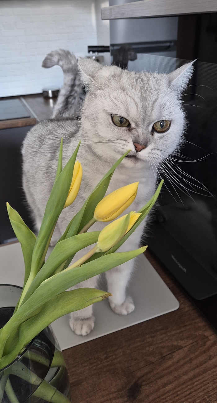 � 8 �����