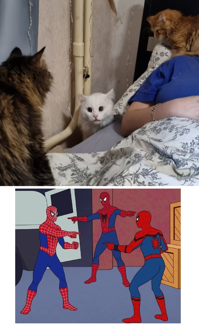 ��� ��� ��������� ��� ������� � ���� ����, �� � ����� ��� �����������)