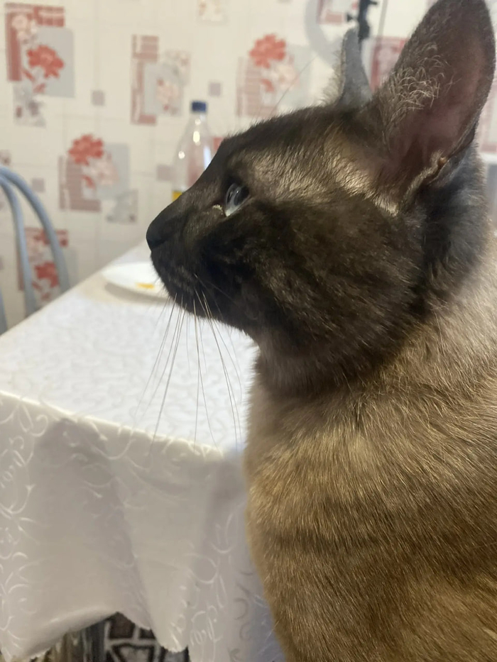 ����� �� ����