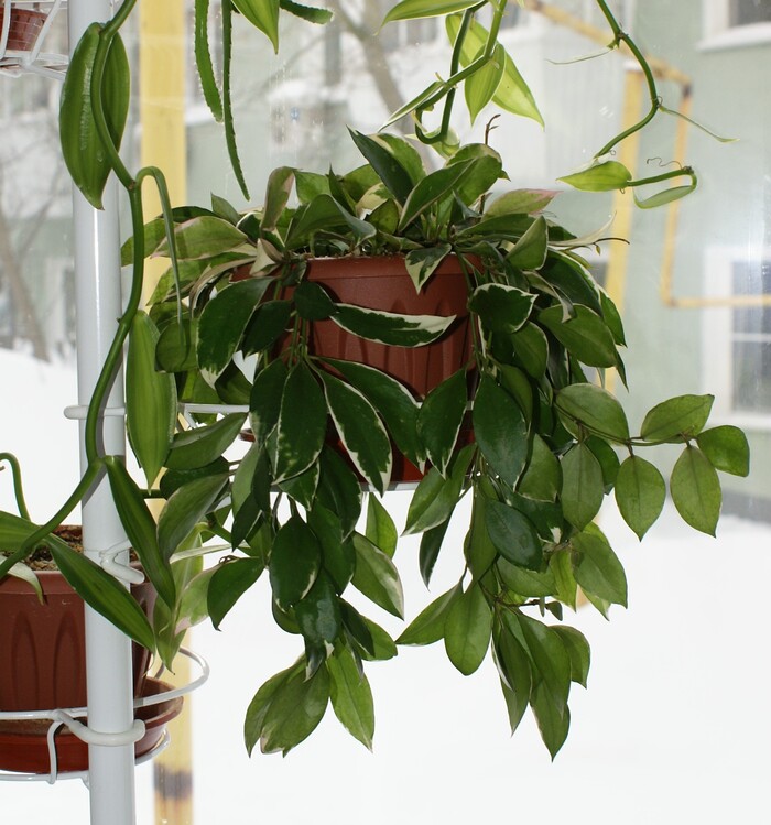 (����� ������ �����������, ������� ���� ������������ - � ���� ��������)