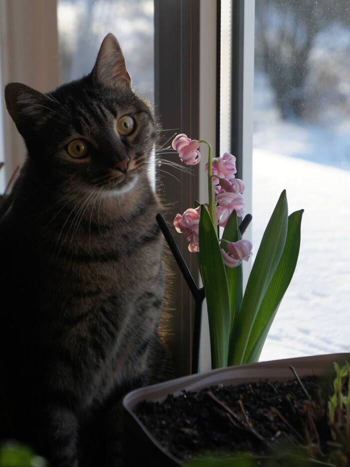 ��������� ������� ����, ������� � ������ ��� ������ ���� � �����...