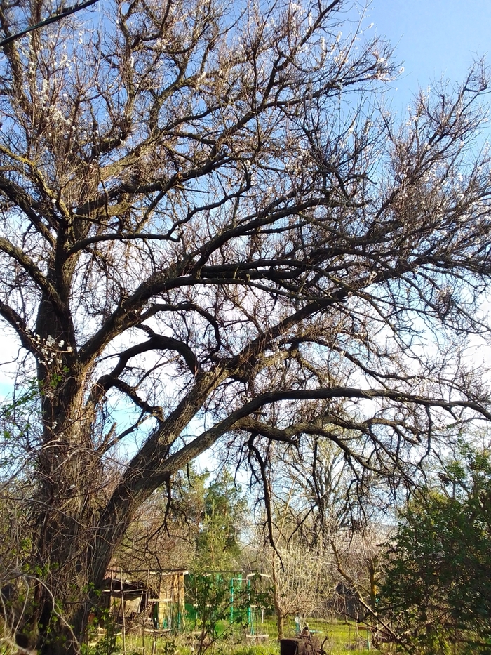 ������ ����������