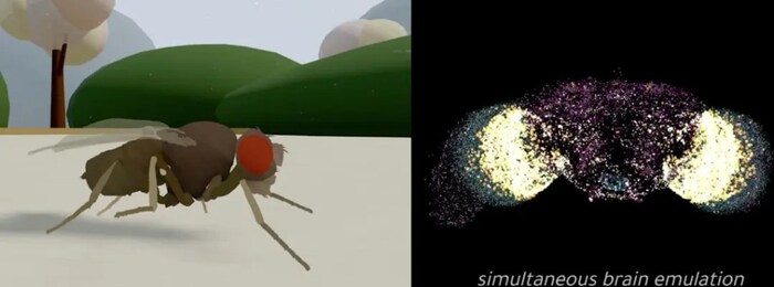 ������� ���������� ������������ ���������� � ������������ ���������. ������: Dr Alex Wissner-Gross. ��������: <!--noindex--><a href="https://pikabu.ru/story/tsifrovaya_mukha_sdelala_pervyiy_shag_kak_startap_eon_systems_zagruzil_biologicheskiy_mozg_v_simulyatsiyu_i_pochemu_na_ocheredi__chelovek_13767046?u=http%3A%2F%2Ftheinnermostloop.substack.com&t=theinnermostloop.substack.com&h=ac8648b85bb1cd5d2a708996c8bf5f7b0d3c8328" title="http://theinnermostloop.substack.com" target="_blank" rel="nofollow noopener">theinnermostloop.substack.com</a><!--/noindex-->.