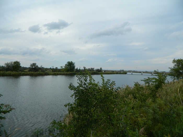 ���� ���������� ����� ����� ���� ������ �� ������-��-���� - ������������� - ����������