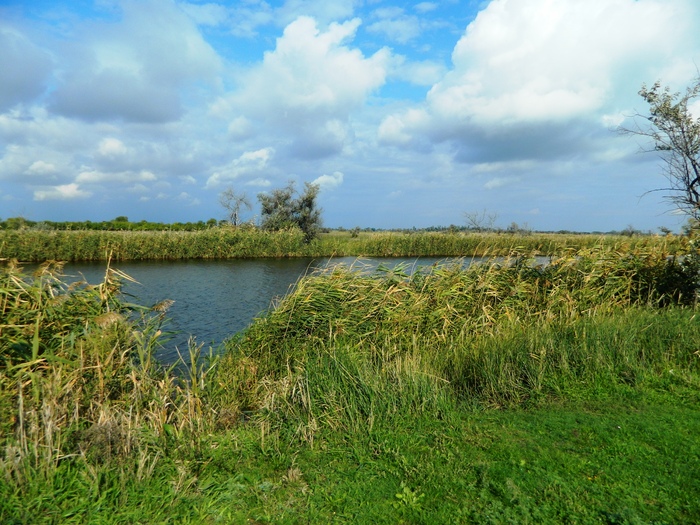 ��� ������� ������ �������