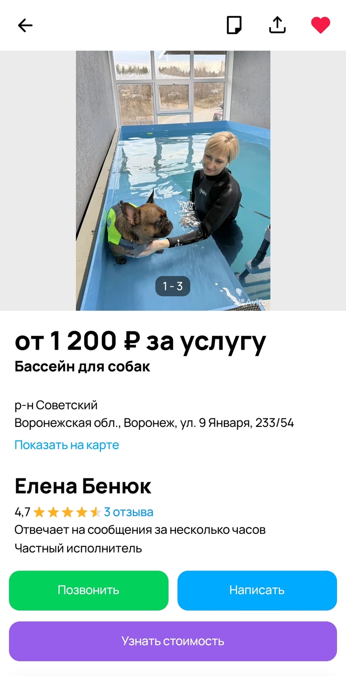 ����� ���� ������ ����� � �������