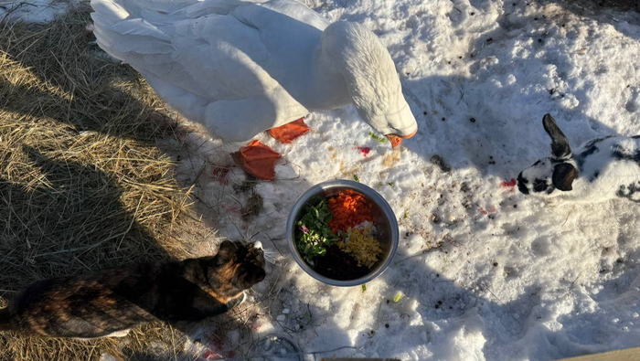 ����� ��� ����������� �� ���������.