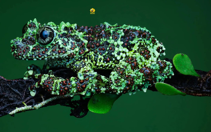 ���������� ���������� ���������