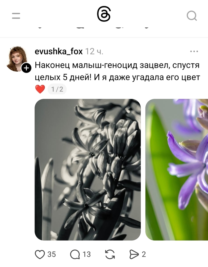 ����� ���������� ��� �����������?