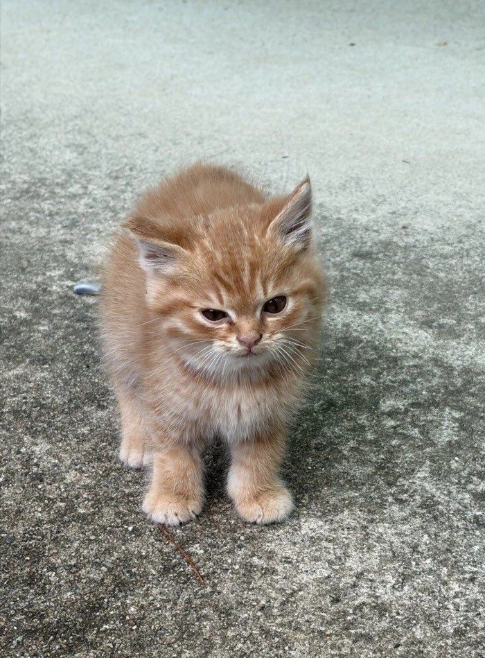 ����� ������ �������� ����� �� ������