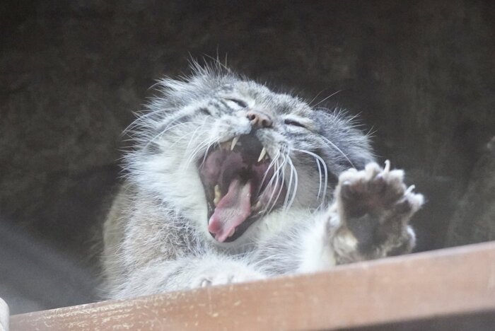 � ���������!!!