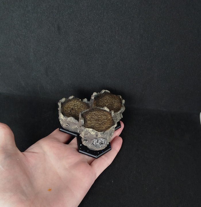 ��� ������ ��������