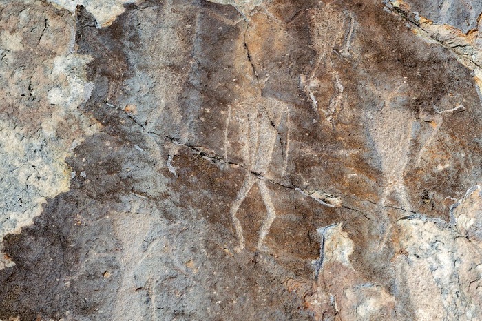 ��� �����-����. ����: ��������� ��������