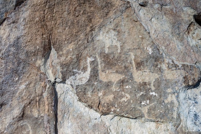 ��� �����-����. ����: ��������� ��������