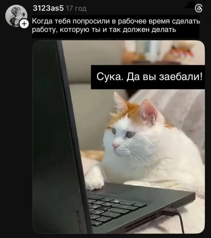 ��� � � �� ������ ���� ���� �����, � �� ����������