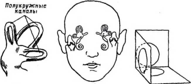 ���������� ��������, ��?