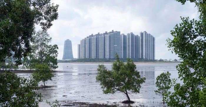 ����� ������� �����-������� � ������� - Forest City � ��������