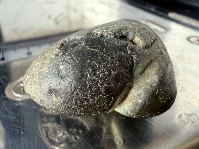 ����� ������� ����� 