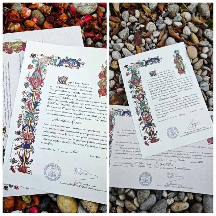 ��������� � 2024 � 2025 �����