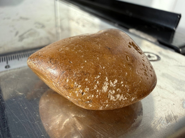 ������������ ������