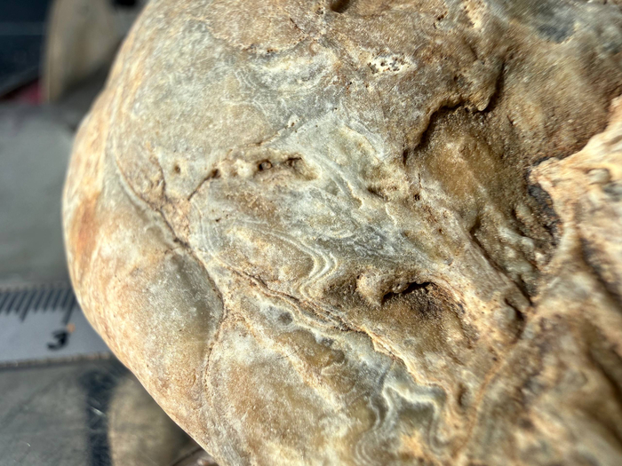 �������� �������