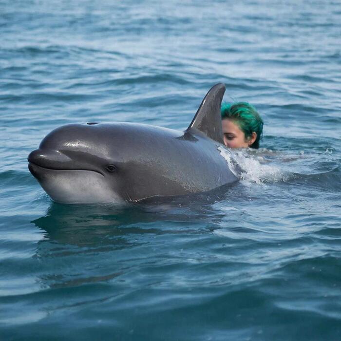 ����������� ������� � ������� ��.