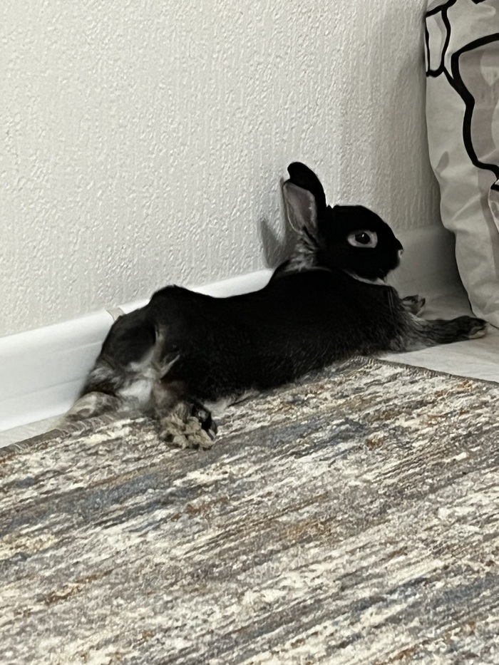 ���� ����)