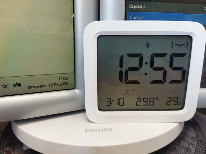 ��� ������, ���� ���������.