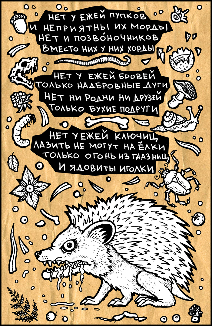 ��� ����