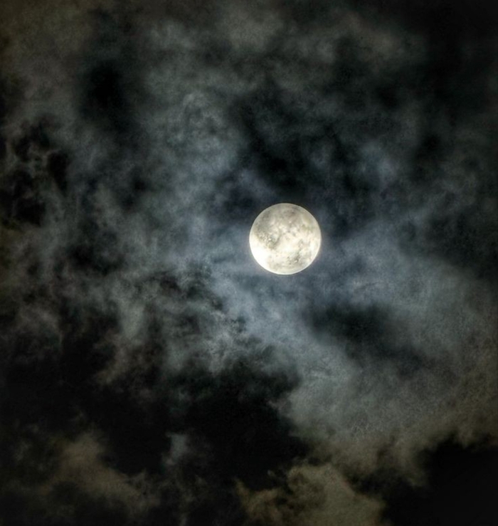 ������ ����. ������� �������� ������