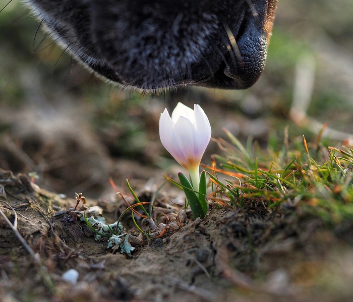 ����, ����������� ��������. ���� �. ���������.