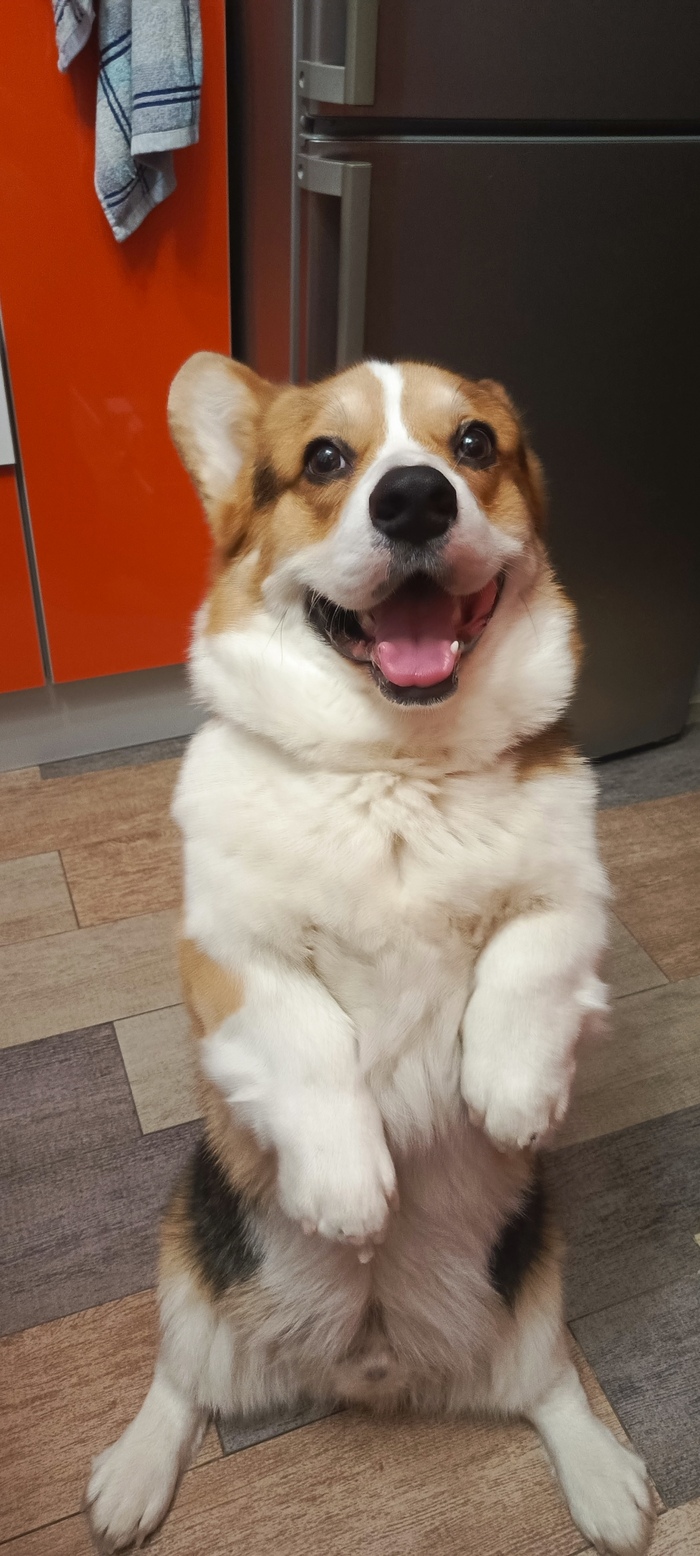 ����� �� ���� �������� �������� "�����������"�