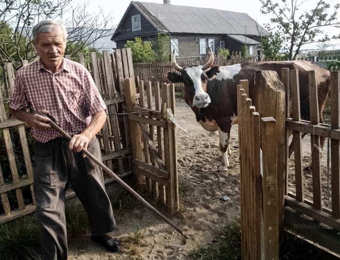 ��������: �������� ���������