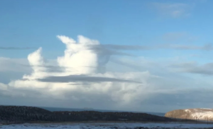 А облака точно только белогривые лошадки?