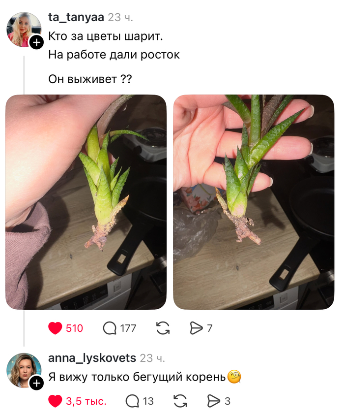 ��� - ����������. �� �������� ����� ��������!